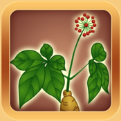 本草纲目for mac版 v1.0 苹果版，各种病症的分析和治疗方法