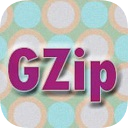 网页GZIP压缩检测工具 v1.0 绿色版，一键测试网站加速效果与配置状态